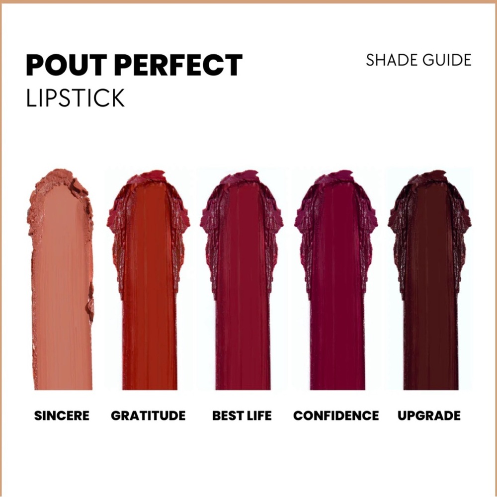 ACE BEAUTÉ POUT PERFECT LIPSTICK in shade name GRATITUDE - BRAND NEW in the box. - Picture 8 of 12